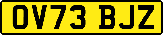 OV73BJZ