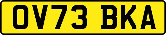OV73BKA