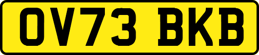 OV73BKB