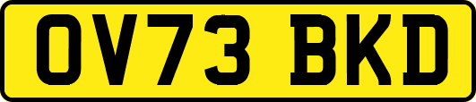 OV73BKD