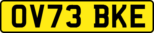 OV73BKE