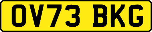 OV73BKG