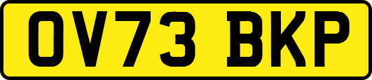 OV73BKP