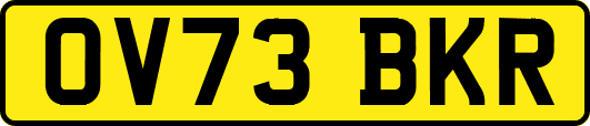 OV73BKR