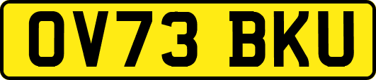 OV73BKU
