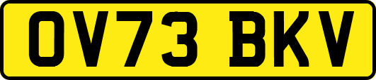 OV73BKV