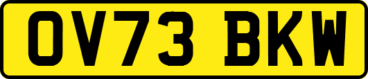 OV73BKW
