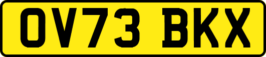 OV73BKX
