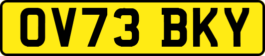 OV73BKY