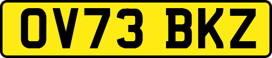 OV73BKZ
