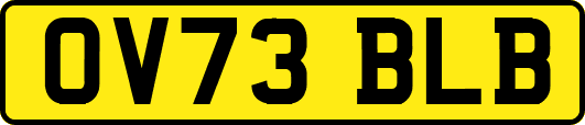 OV73BLB