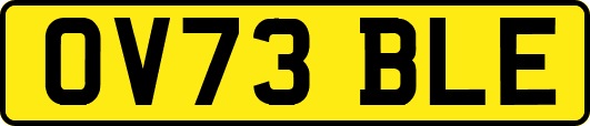 OV73BLE