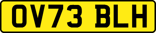 OV73BLH