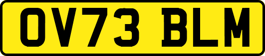 OV73BLM