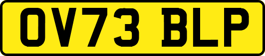 OV73BLP