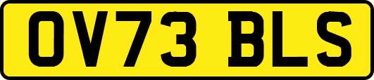 OV73BLS