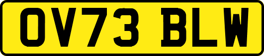 OV73BLW