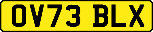 OV73BLX