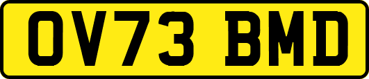 OV73BMD