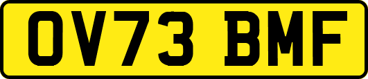 OV73BMF