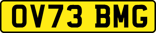 OV73BMG
