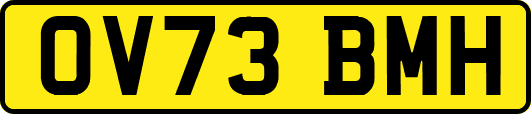 OV73BMH