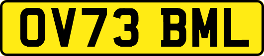 OV73BML