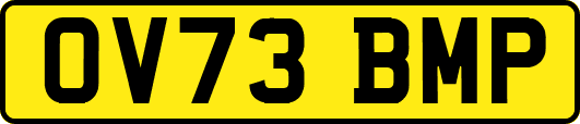 OV73BMP