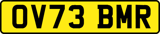 OV73BMR
