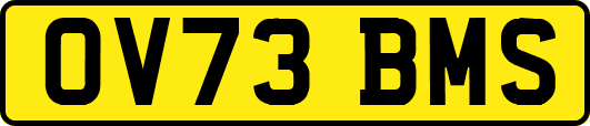 OV73BMS