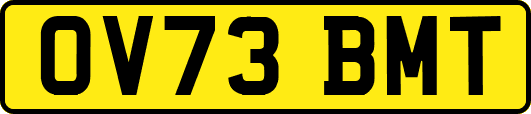 OV73BMT