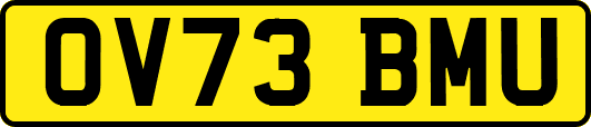 OV73BMU