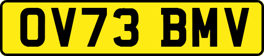 OV73BMV