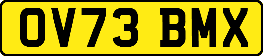 OV73BMX