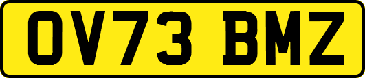 OV73BMZ