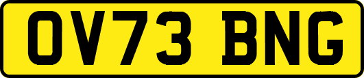 OV73BNG