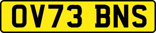 OV73BNS