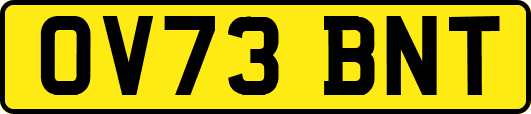 OV73BNT