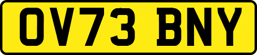 OV73BNY