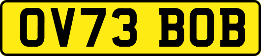 OV73BOB