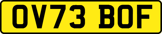 OV73BOF