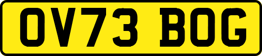 OV73BOG