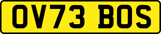 OV73BOS