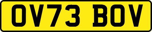 OV73BOV
