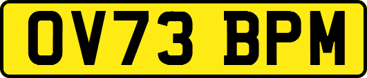 OV73BPM
