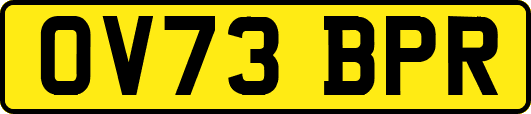 OV73BPR