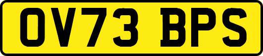 OV73BPS
