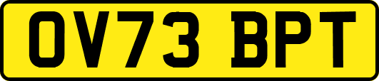 OV73BPT