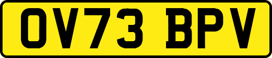 OV73BPV