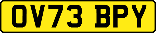 OV73BPY